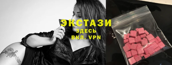 прущие грибы Ельня