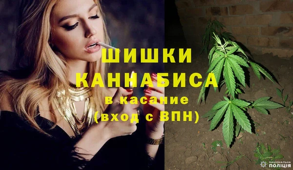 трава Балахна
