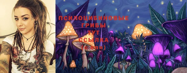 трава Балахна