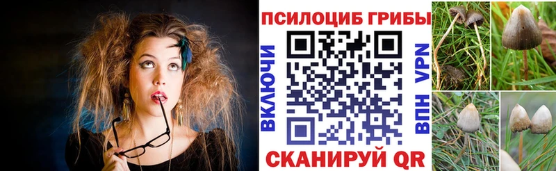 магазин    Окуловка  Галлюциногенные грибы Cubensis 